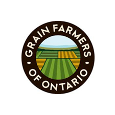 grain farmers